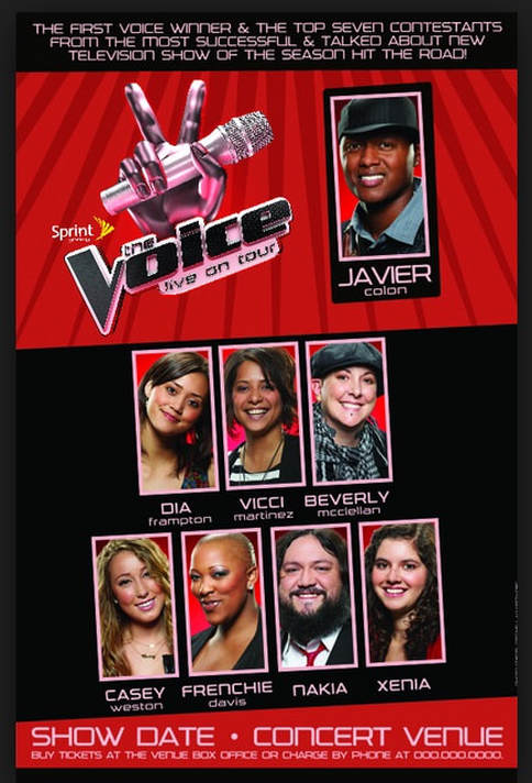 The Voice Tour season one